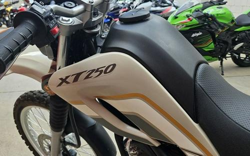 2018 Yamaha XT 250