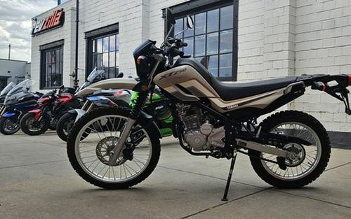 2018 Yamaha XT 250