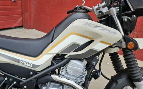 2018 Yamaha XT 250