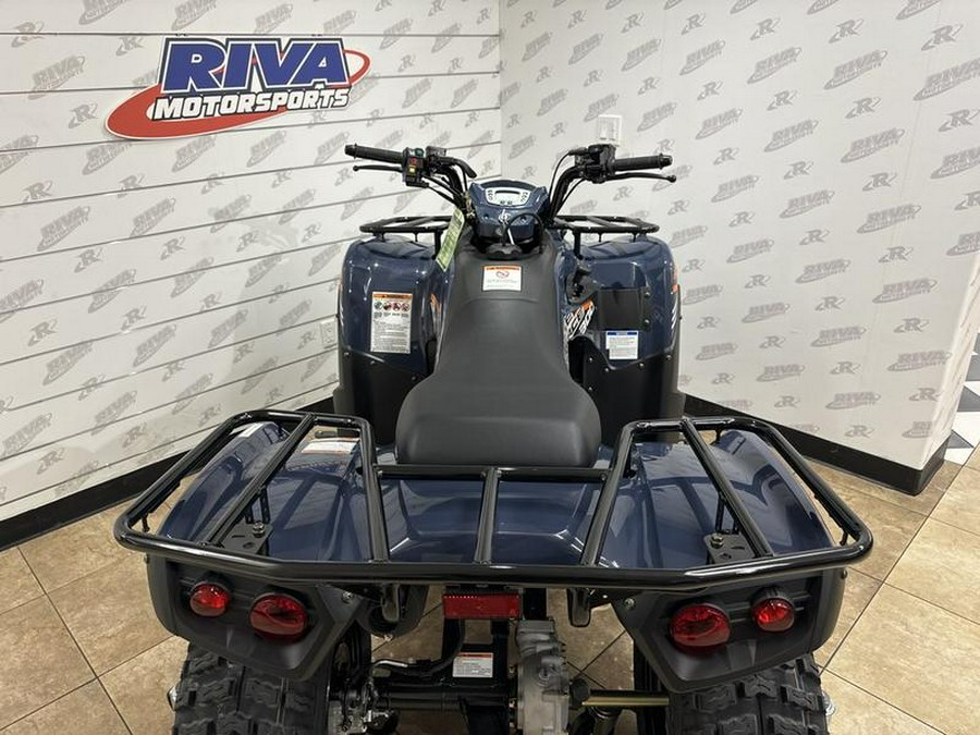 2024 Kawasaki Brute Force® 300