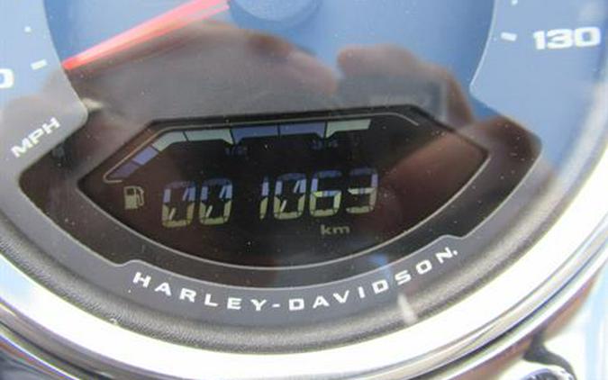 2021 Harley-Davidson Fat Boy® 114