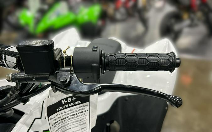 2026 Kawasaki KFX 50