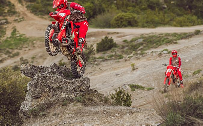 2025 Gas Gas EC 250 - 229431