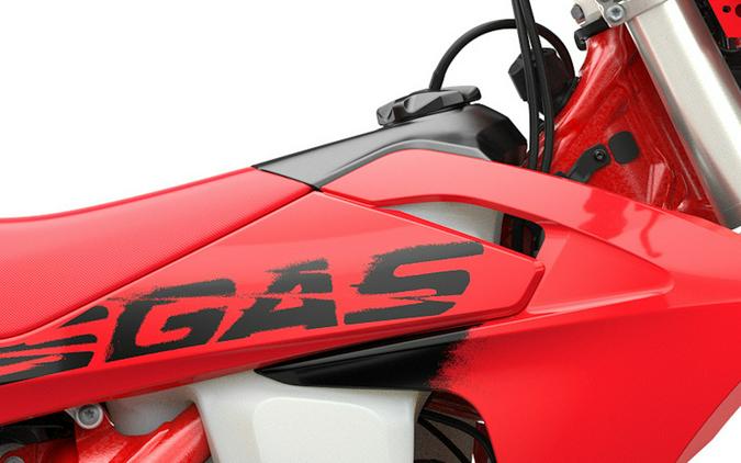 2025 Gas Gas EC 250 - 229431
