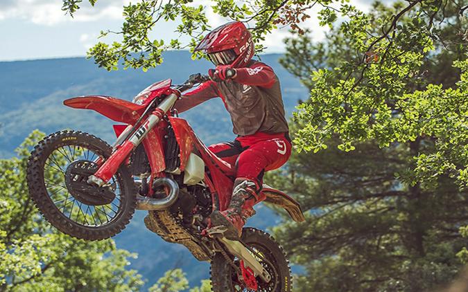 2025 Gas Gas EC 250 - 229431