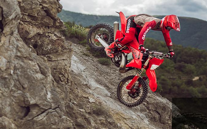 2025 Gas Gas EC 250 - 229431