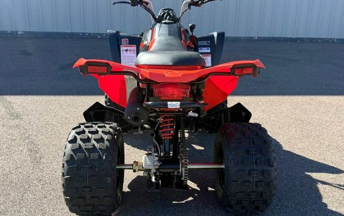 2026 Can-Am DS 250