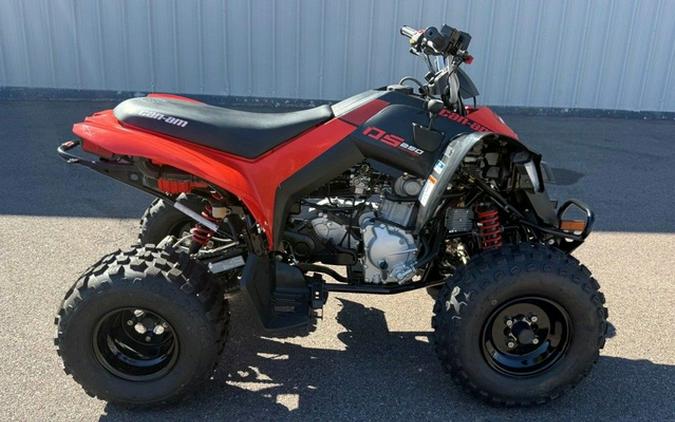 2026 Can-Am DS 250