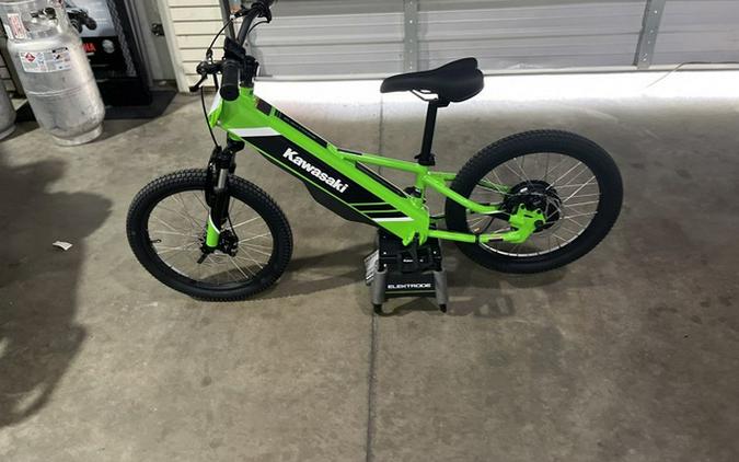 2025 Kawasaki Elektrode 20
