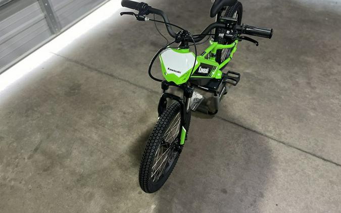 2025 Kawasaki Elektrode 20