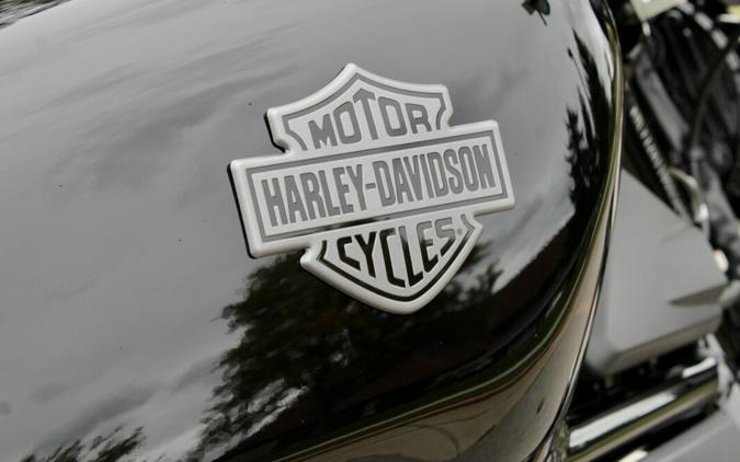 New 2025 Harley-Davidson Sportster Nightster Motorcycle For Sale In Medina, OH