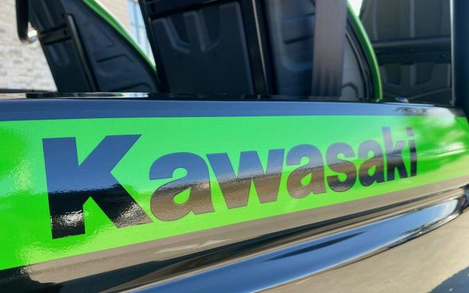 2025 Kawasaki TERYX S SE