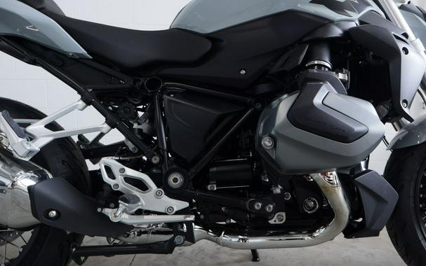 2023 BMW R 1250 R Ice Gray