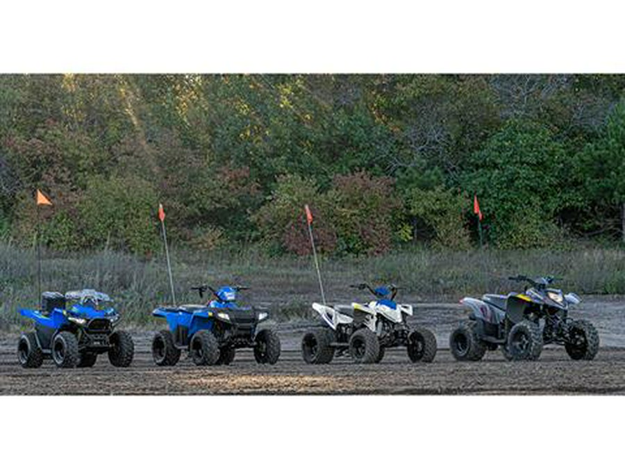 2025 Polaris Phoenix 200