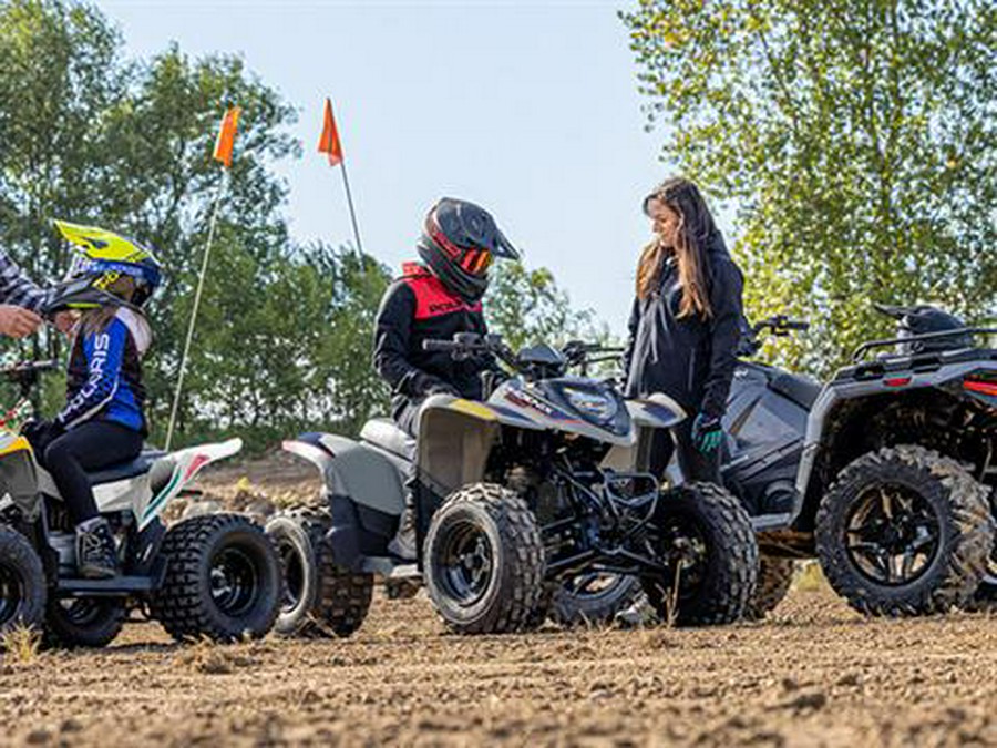 2025 Polaris Phoenix 200