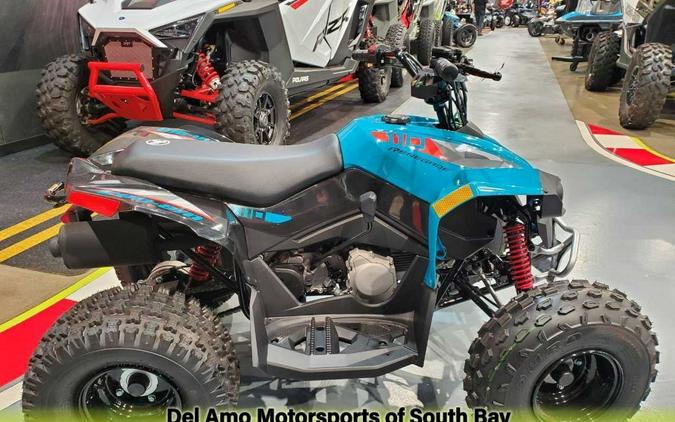 2024 Can-amt RENEGADE 70 EFI