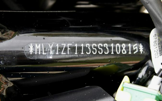 New 2025 Harley-Davidson Sportster Nightster Special Motorcycle For Sale In Medina, OH