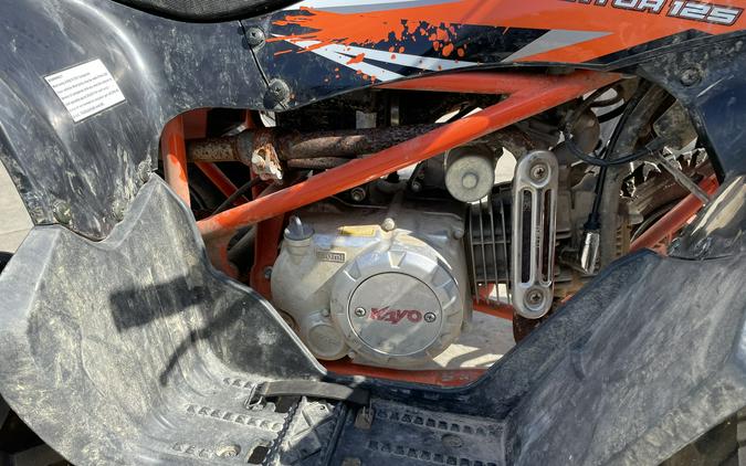 2021 Kayo Predator 125 - AS IS SPECIAL -