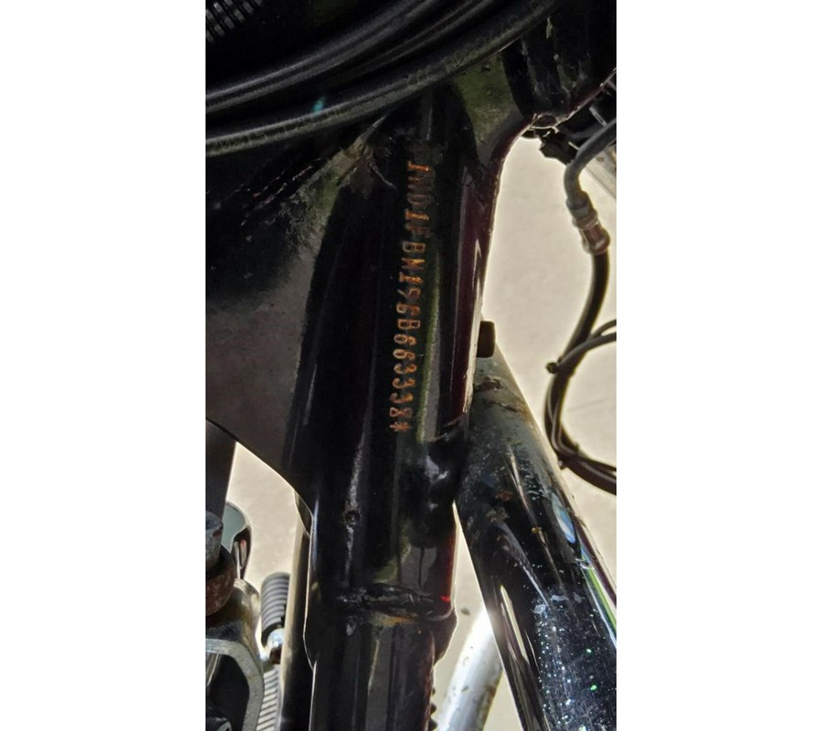 2016 Harley-Davidson Road King®
