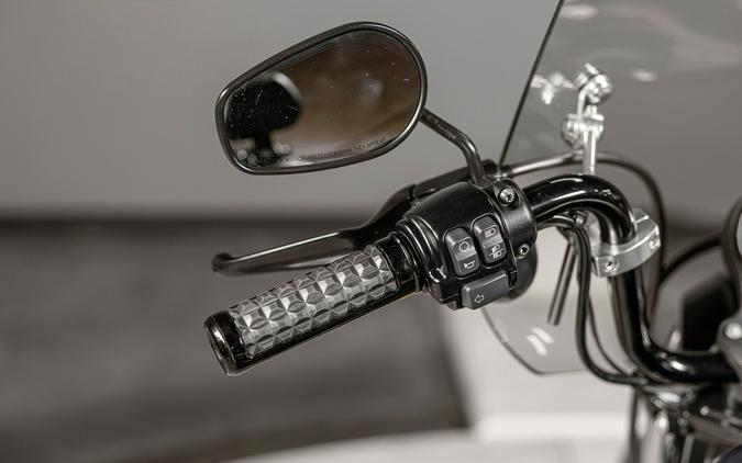2019 Harley-Davidson Sportster 883 Iron