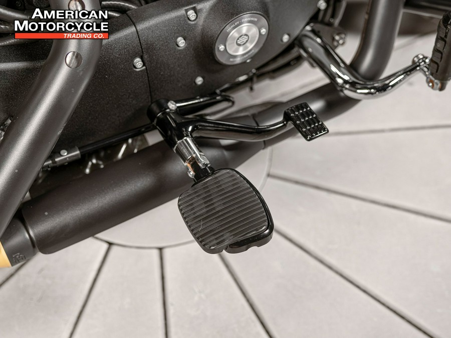 2019 Harley-Davidson Sportster 883 Iron