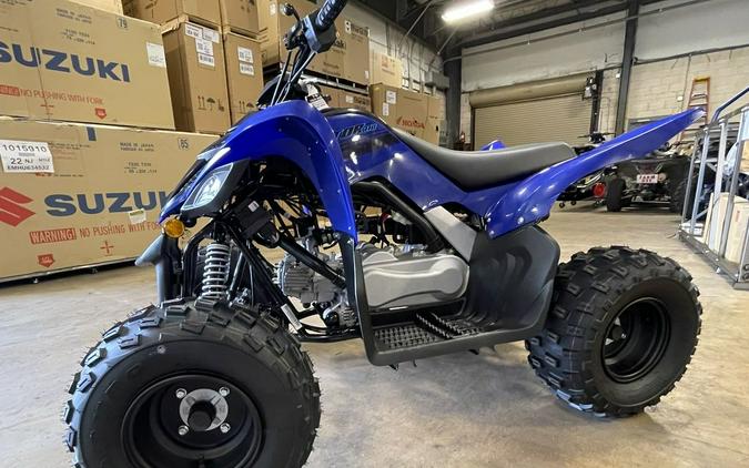 2025 Yamaha Raptor 110