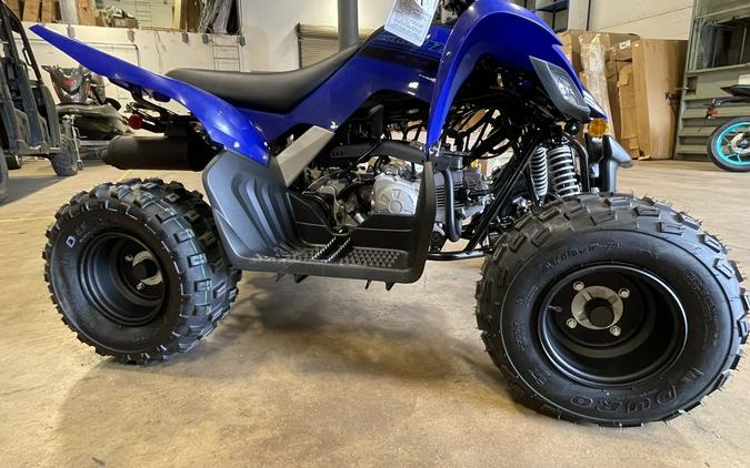 2025 Yamaha Raptor 110