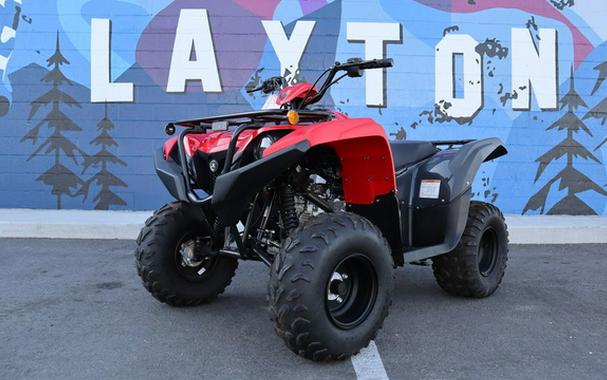 2025 Yamaha Grizzly 110
