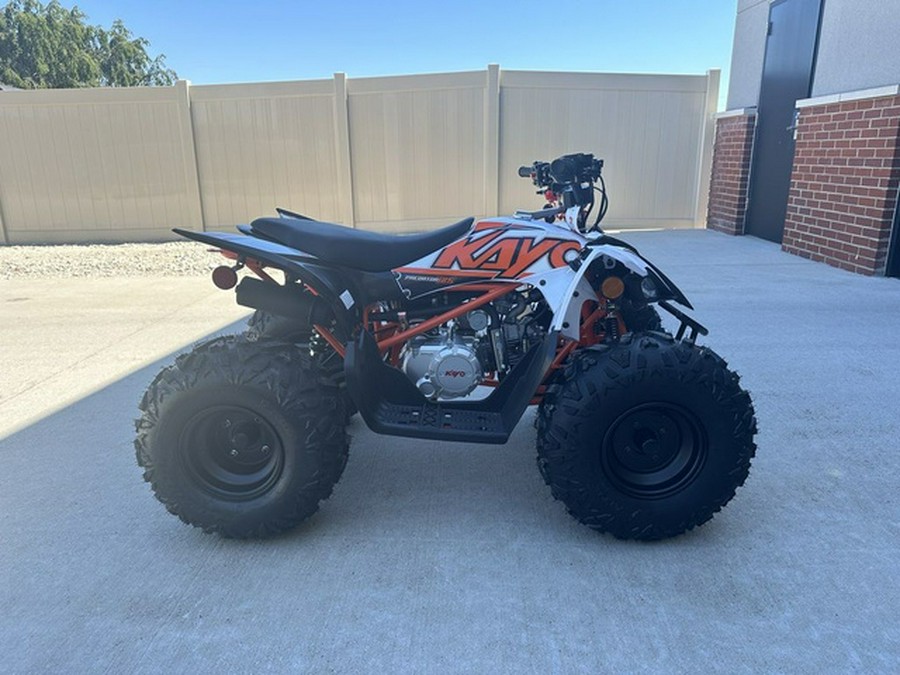 2023 Kayo 125 Predator