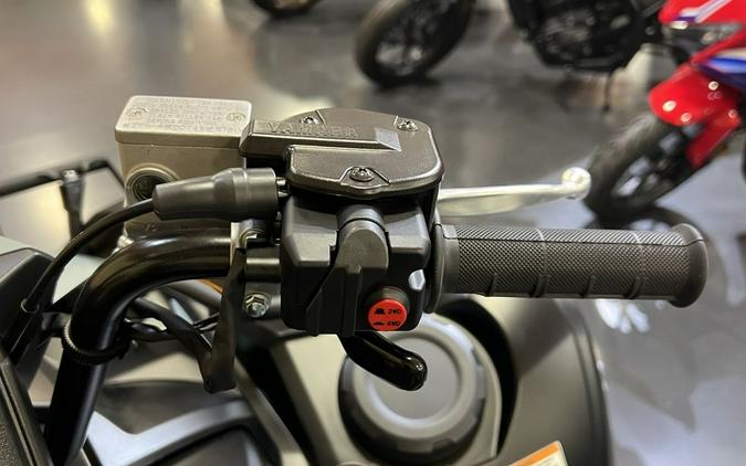 2026 Yamaha Grizzly EPS XT-R