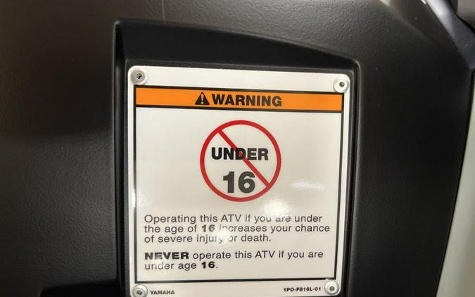 2026 Yamaha Grizzly EPS XT-R