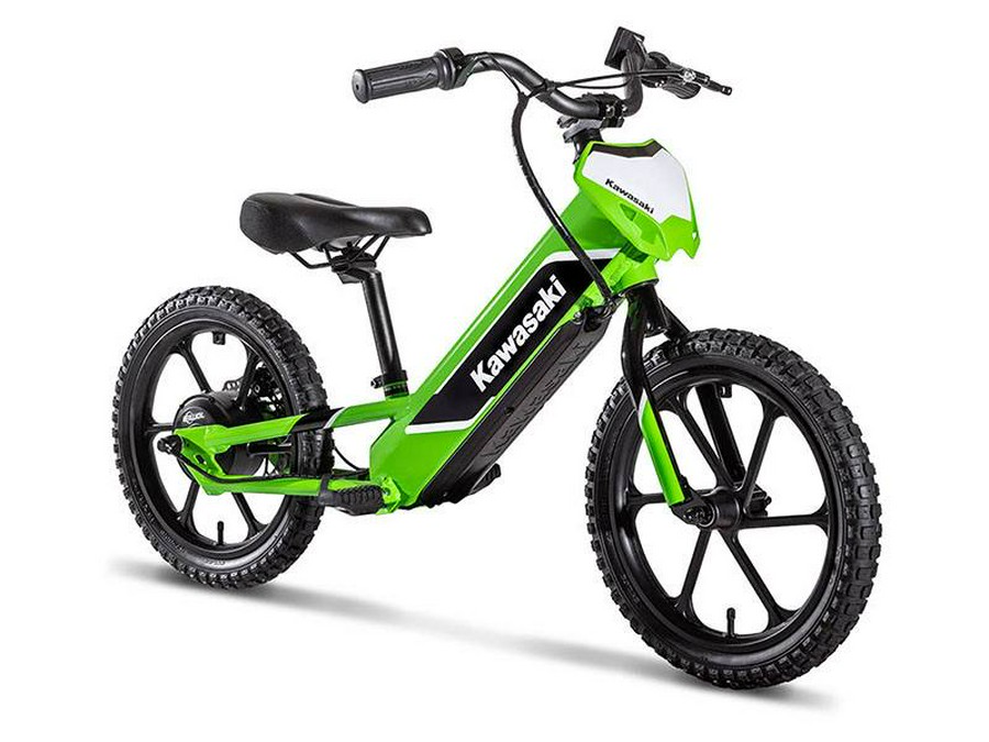 2024 Kawasaki Elektrode