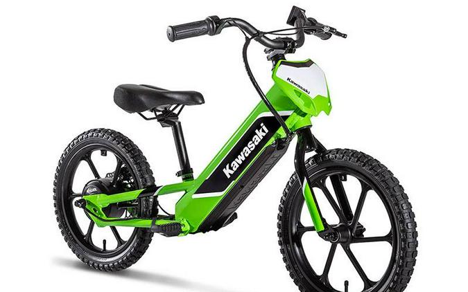 2024 Kawasaki Elektrode 16