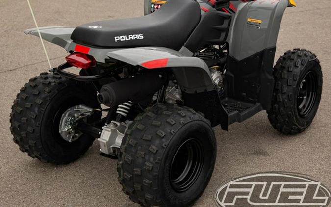 2024 Polaris Phoenix 200