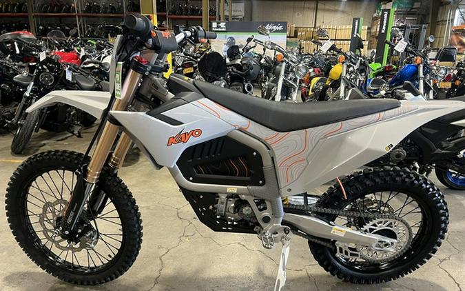 2025 Kawasaki Teryx4 S SE