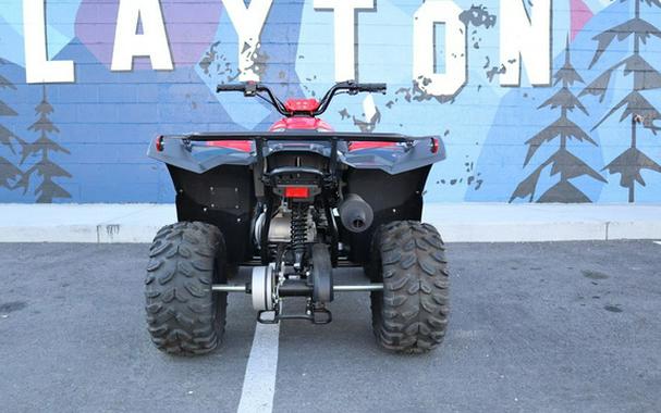 2025 Yamaha Grizzly 110