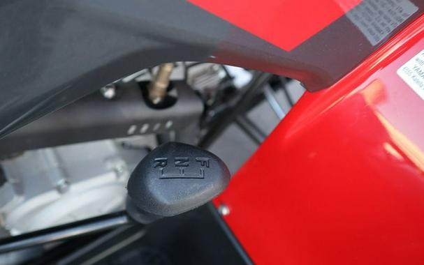 2025 Yamaha Grizzly 110