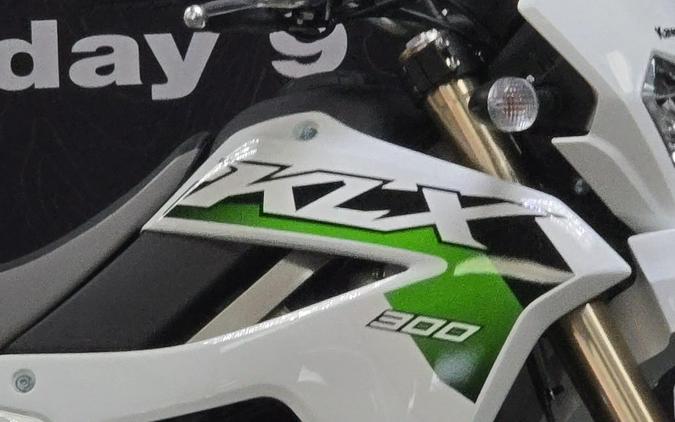 2026 Kawasaki KLX 300