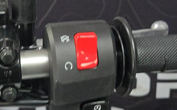 2026 Kawasaki KLX 300