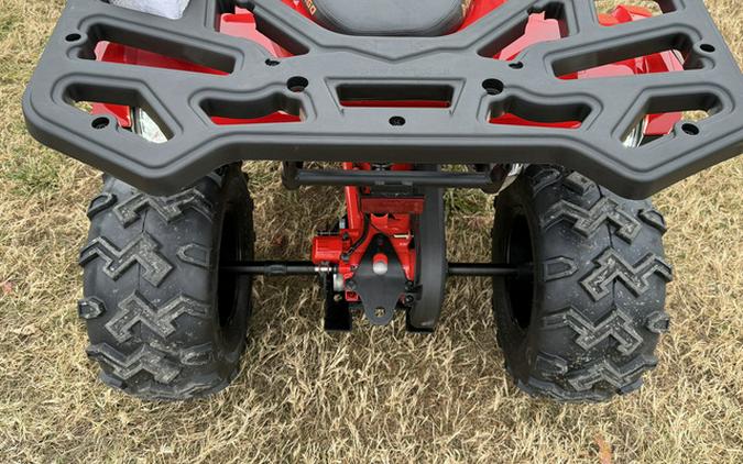 2026 Denago Powersports Mudhawk 200FI