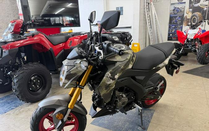 2025 Kawasaki Z125 PRO Base