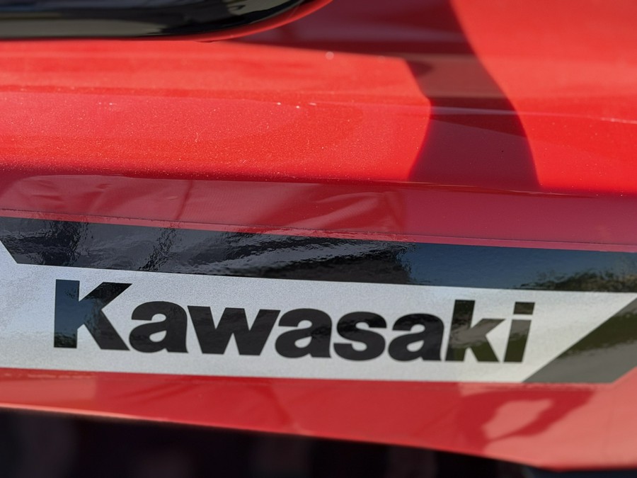2026 Kawasaki Brute Force 300