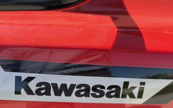 2026 Kawasaki Brute Force 300