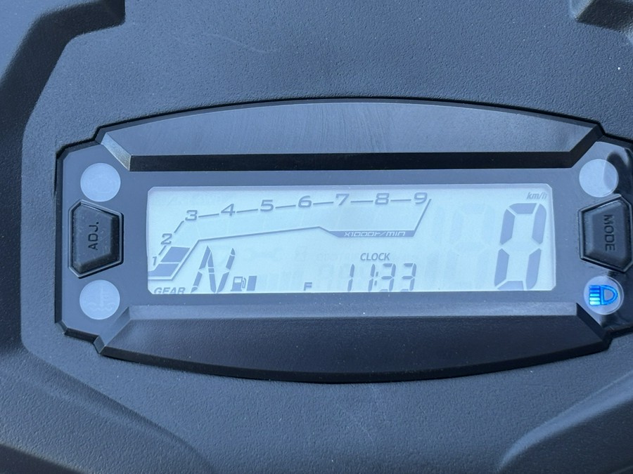 2026 Kawasaki Brute Force 300
