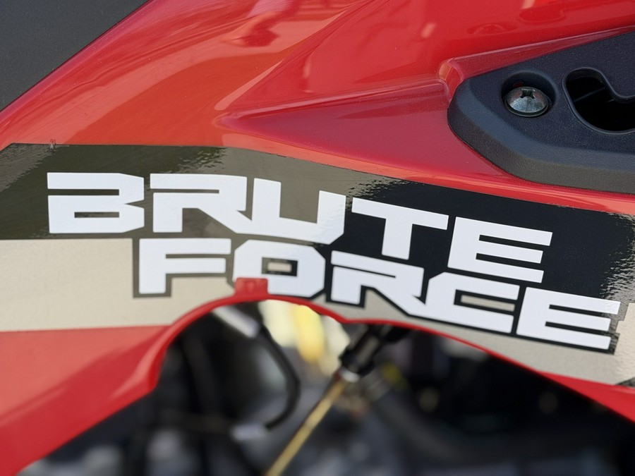 2026 Kawasaki Brute Force 300