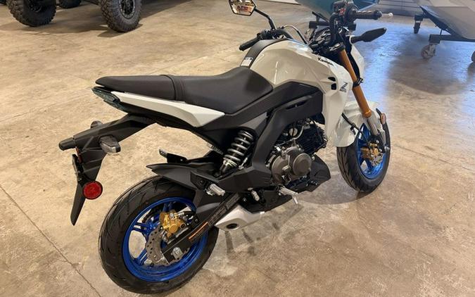 2026 Kawasaki Z125 PRO