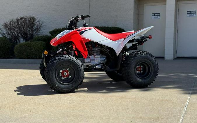 2024 Honda® TRX250X