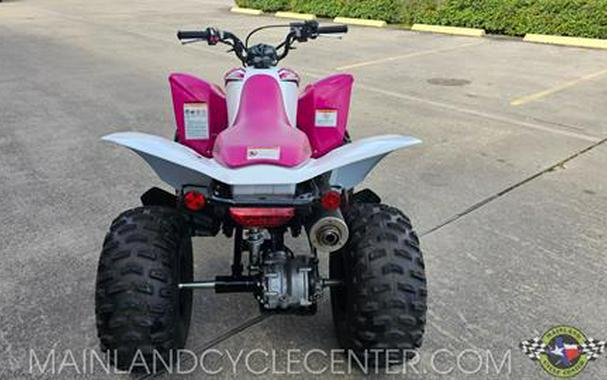 2023 Honda TRX250X