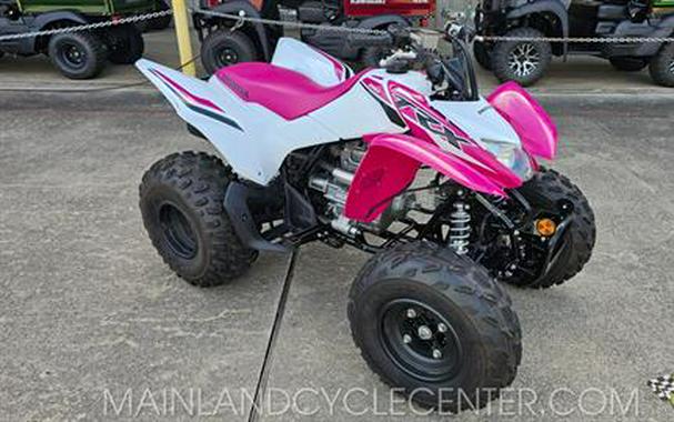 2023 Honda TRX250X