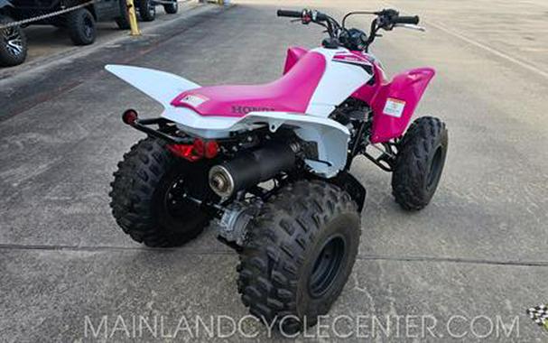 2023 Honda TRX250X